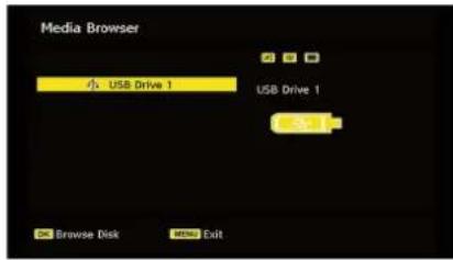 TELEFUNKEN TF2636X880LU - Media Browser (in DTV mode) - 2