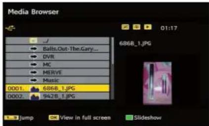 TELEFUNKEN TF2636X880LU - Viewing JPEG Files - 1