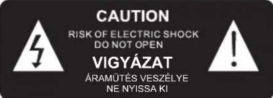 THOMSON MIC250IDABBT - CAUTION - 2