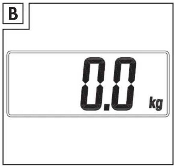 B 0.0 kg