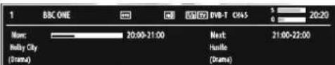 TECHWOOD VL37FHDT1101 - On-Screen Information - 1