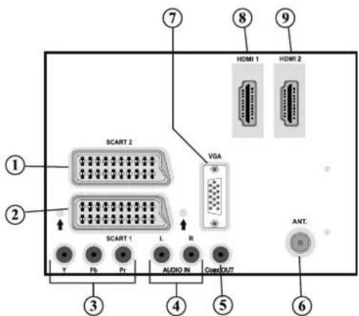 TECHWOOD VL37FHDT1101 - Affi chage des branchements lateraux arriere - 1