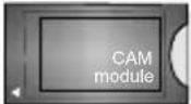 TECHWOOD TK55UHD03B - Télécommande - 24