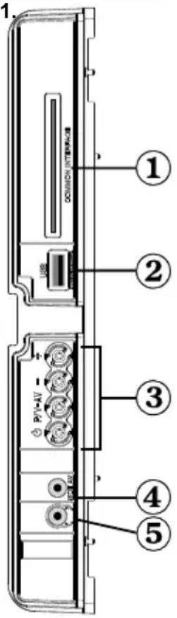 TECHWOOD TDVD19TN10 - Affi chage des branchements - Connecteurs latéraux - 1