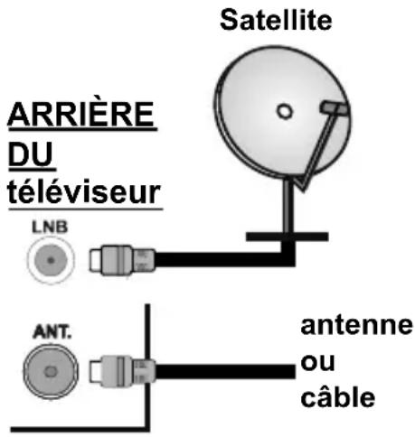TELEFUNKEN D32H472R4D - Branchement de l'antenne - 1