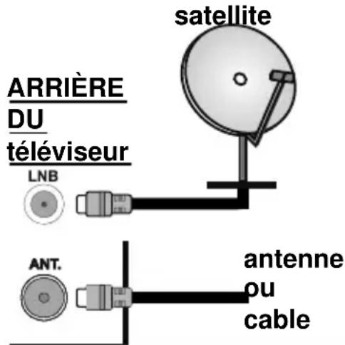 TELEFUNKEN D32H289J4CW - Branchement de l'antenne - 1