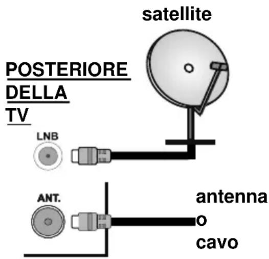 TELEFUNKEN D32H289J4CW - Collegamento Antenna - 1