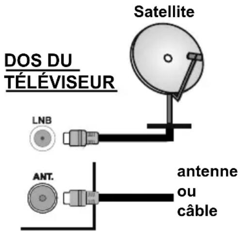 TELEFUNKEN D32F470R4CW - Branchement de l'antenne - 1