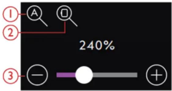 PFAFF Creative icon - Options de zoom - 1