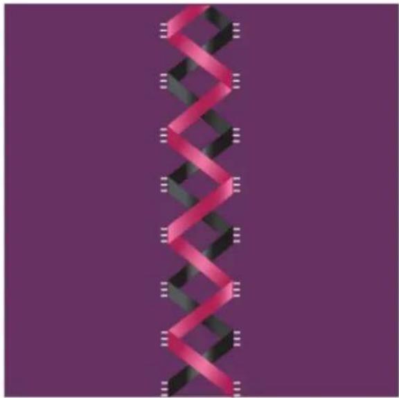 PFAFF Creative icon - Points de ruban - 1