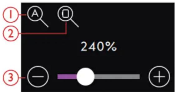 PFAFF Creative icon - Options de zoom - 1