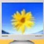 SAMSUNG SyncMaster 753DFX - Vérifiez les éléments suivants pour voir s'il y a des problèmes avec le moniteur. - 2