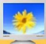 SAMSUNG SyncMaster 753DFX - Vérifiez les éléments suivants pour voir s'il y a des problèmes avec le moniteur. - 1