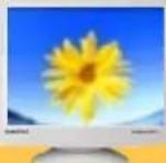 SAMSUNG SyncMaster 753DFX - Capacité Plug and Play - 1