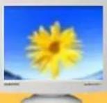 SAMSUNG SyncMaster 753DFX - 1