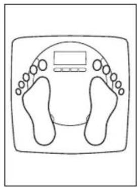 SALTER Body Analyser 9140 - GEWICHT, KÖRPERFETT UND GESAMTKÖRPERWASSER-MESSWERTE - 3