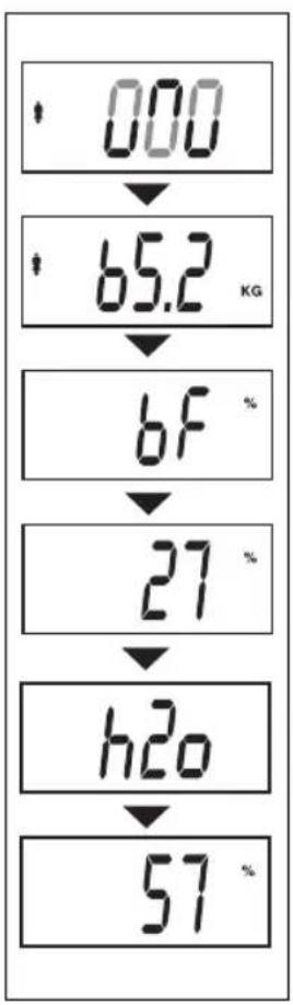 SALTER Body Analyser 9140 - MÄTNING AVVIKT, KROPPSFETT OCHTOTAL KROPPSVÄTSKA - 4