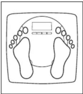 SALTER Body Analyser 9140 - HVORDAN FUNGERERVEKT MED KROPPSANALYSATOR? - 2