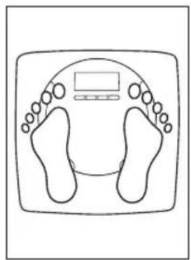 SALTER Body Analyser 9140 - MÁLING AVVEKT, KROPPSFETT OGVANN I KROPPENTOTALT - 3