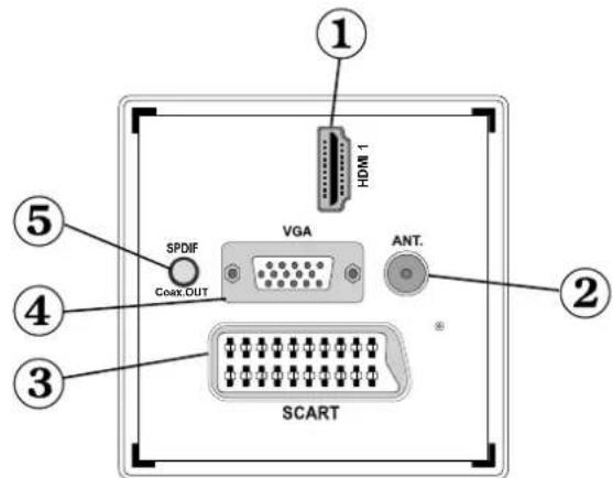 SABA SVD2630 - Affi chage des branchements latéraux arrière - 1