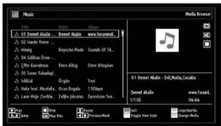 SABA SVD2630 - Playing Music via USB - 1