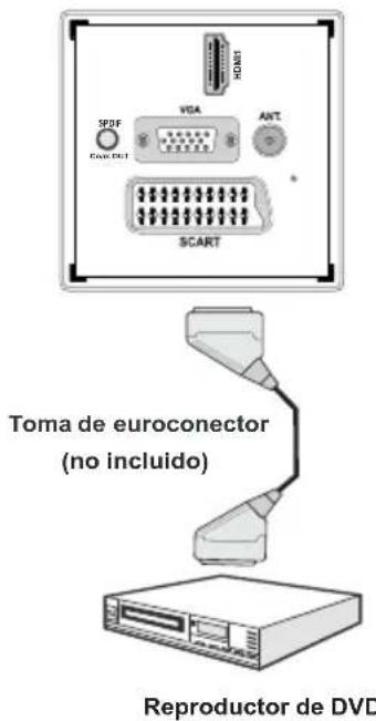 SABA SBV1943H - Conexión a un Reproductor de DVD mediante Tomas de Componentes (YPbPr) o Euroconector - 2