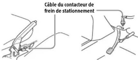 Câble du contacteur de frein de stationnement