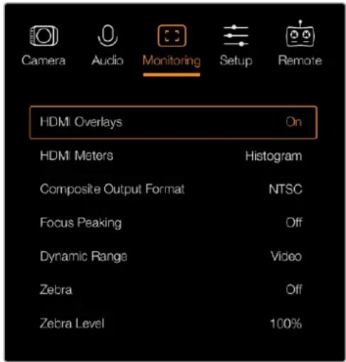 Blackmagic Design Micro Cinema Camera - HDMI Overlays - 1