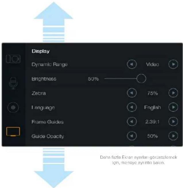 Blackmagic Design Micro Cinema Camera - Parlaklık - 1