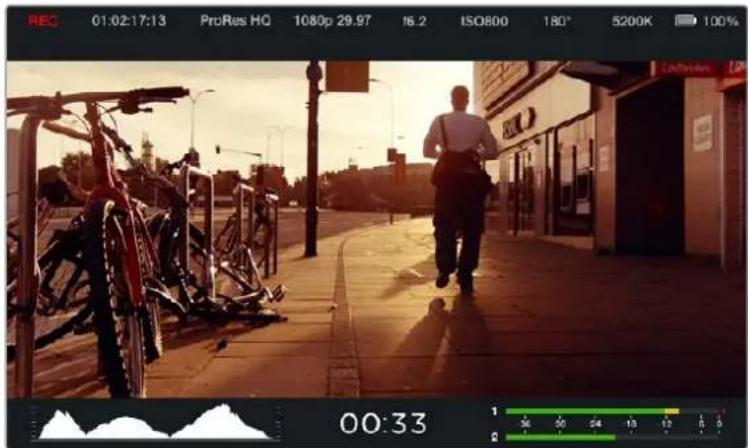 Blackmagic Design Micro Cinema Camera - 프레임 가이드 (Frame Guides) - 1