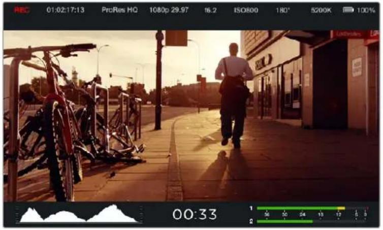 Blackmagic Design Micro Cinema Camera - Guías de encuadre - 1