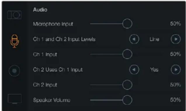Blackmagic Design Micro Cinema Camera - Configurações de Áudio - 1