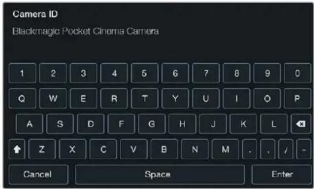 Blackmagic Design Micro Cinema Camera - Camera ID (Kamera Kimliği) - 1