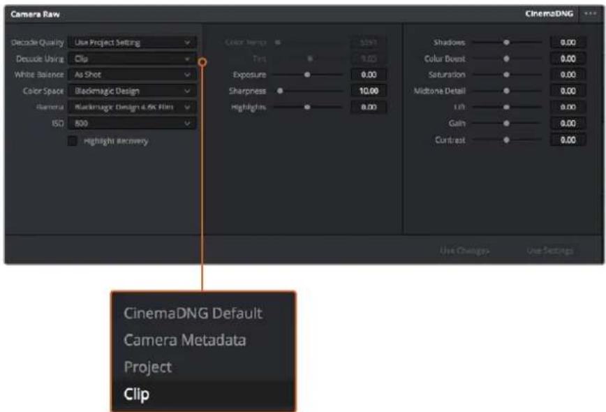 Blackmagic Design Micro Cinema Camera - クリップごとに RAW設定を調整する: - 1