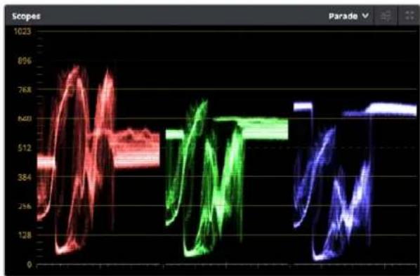 Blackmagic Design Micro Cinema Camera - Utilisation des scopes - 1