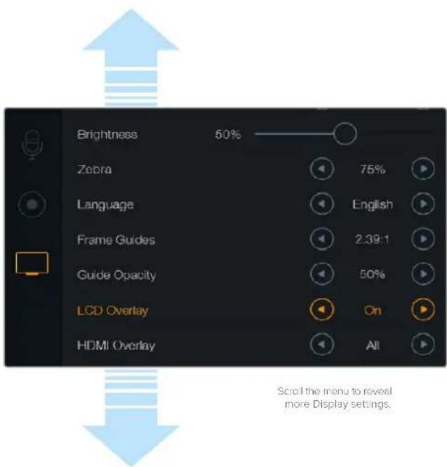 Blackmagic Design Micro Cinema Camera - LCD Overlay - 1