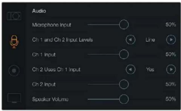 Blackmagic Design Micro Cinema Camera - Ses Ayarları - 1