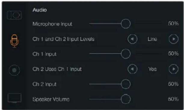 Blackmagic Design Micro Cinema Camera - Аудио - 1