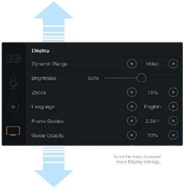 Blackmagic Design Micro Cinema Camera - Brightness - 1