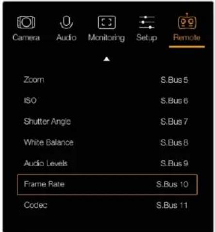 Blackmagic Design Micro Cinema Camera - Настройки Remote - 1