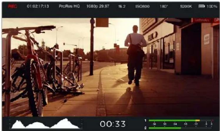 Blackmagic Design Micro Cinema Camera - Kare Kılavuzları - 1