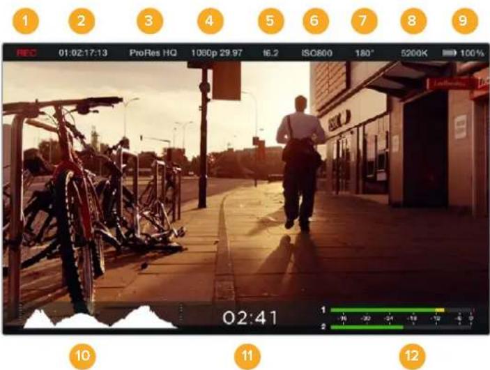 Blackmagic Design Micro Cinema Camera - Icone delle attività relative alla scheda SD - 1