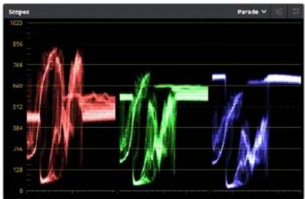 Blackmagic Design Micro Cinema Camera - Utilizzare i visualizzatori di livelli - 1