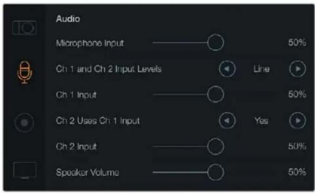 Blackmagic Design Micro Cinema Camera - 音频设置 - 1