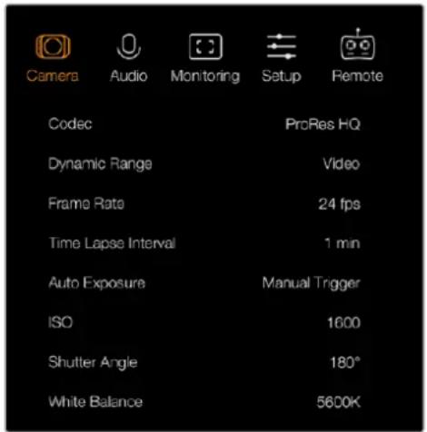 Blackmagic Design Micro Cinema Camera - Manual Trigger - 1