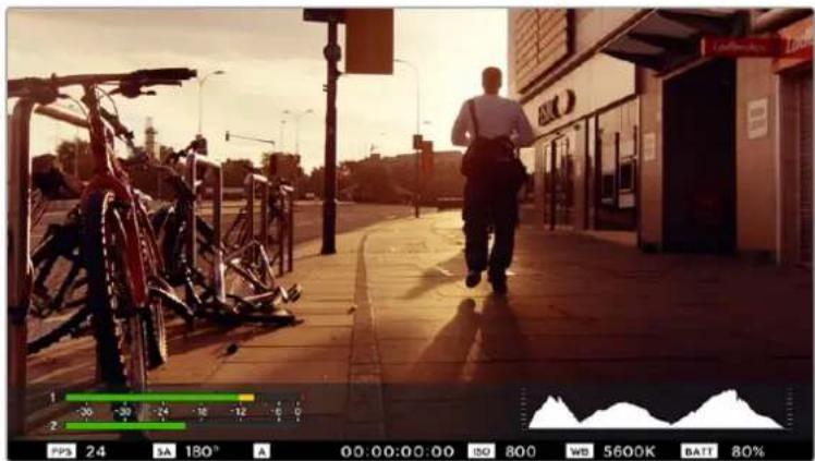 Blackmagic Design Micro Cinema Camera - Nivel del audio - 1