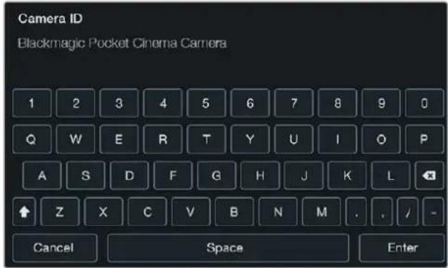 Blackmagic Design Micro Cinema Camera - カメラID (Camera ID) - 1
