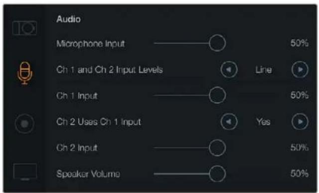 Blackmagic Design Micro Cinema Camera - オーディオ設定 (Audio) - 1