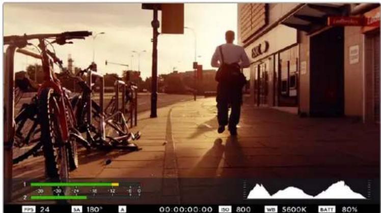 Blackmagic Design Micro Cinema Camera - Maksimum Ses (Peak Audio) - 1