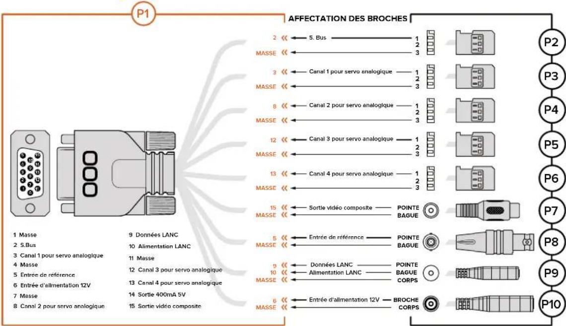 Blackmagic Design Micro Cinema Camera - Schéma de câblage pour le câble expansion de la Blackmagic Micro Cinema Camera - 1